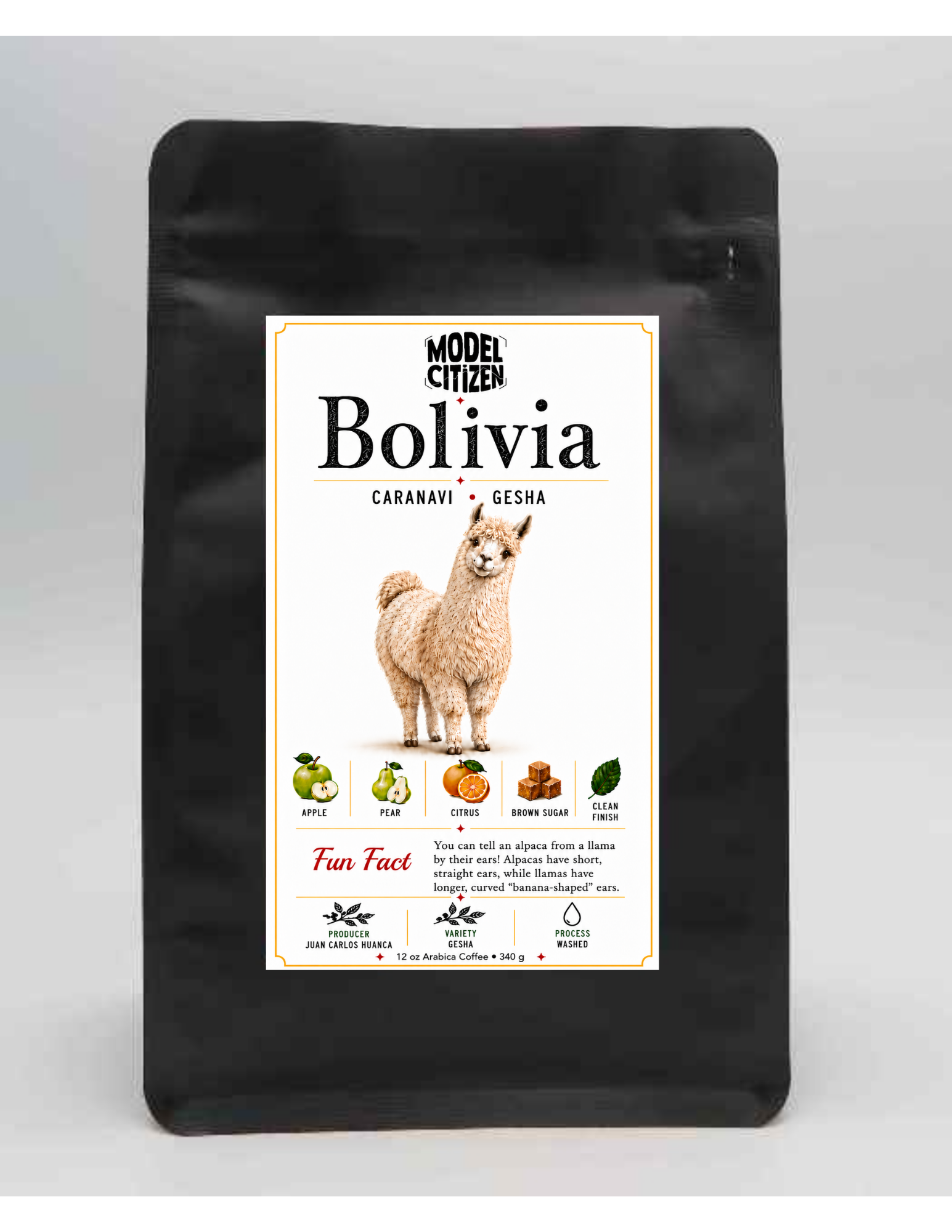 Bolivia – Finca La Asunta Gesha (Microlot)  - (12 oz bag)