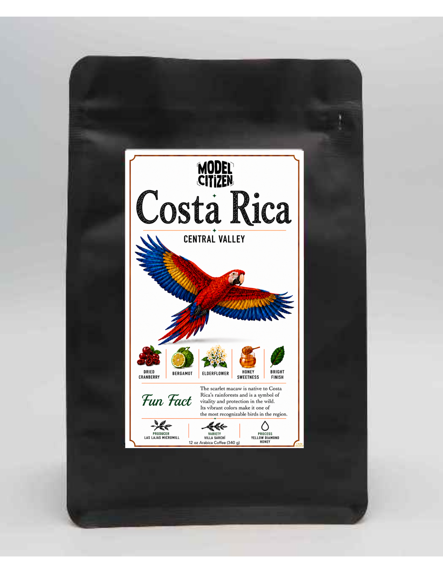 Costa Rica Special - Hacienda Sonora (12 oz bag)