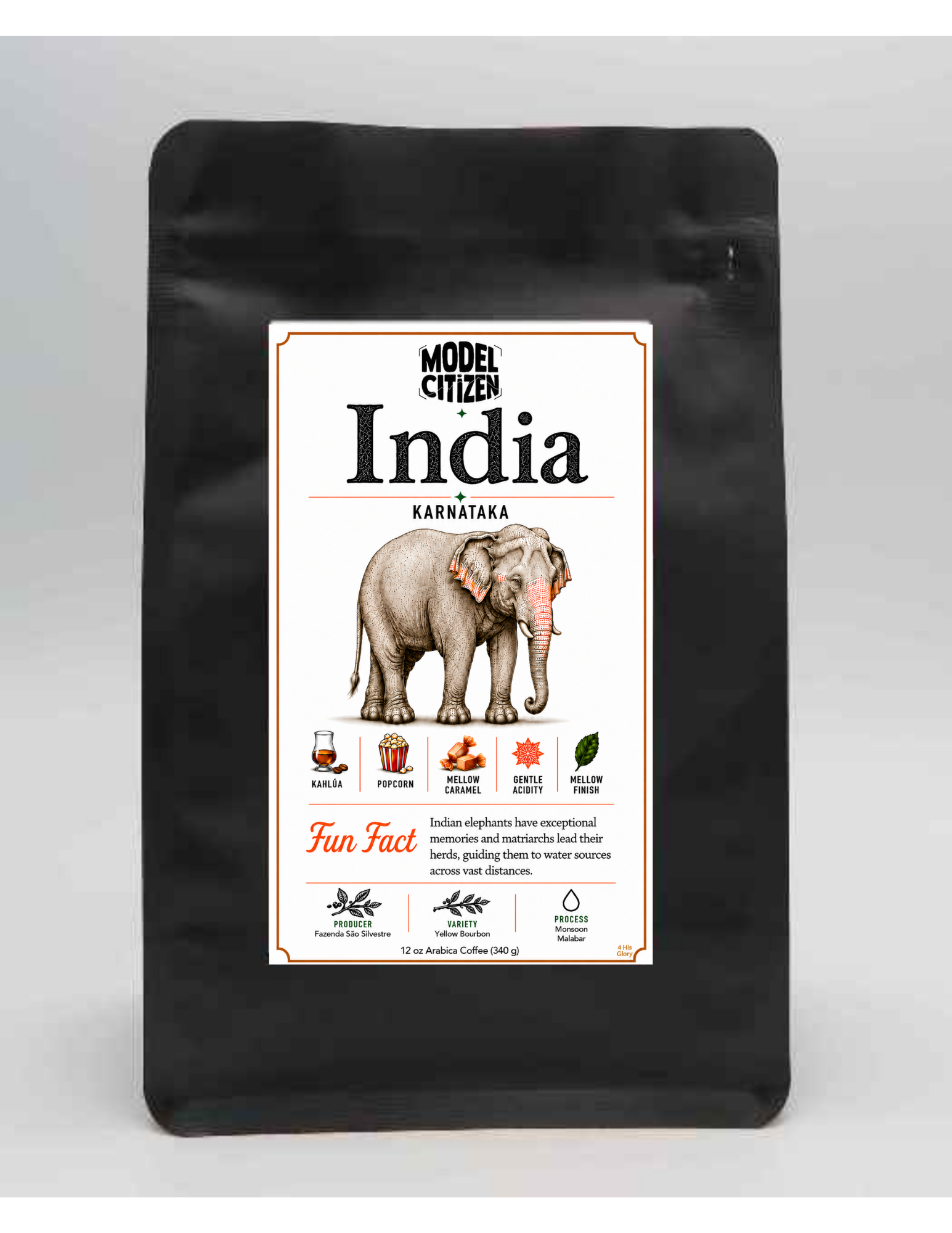 India, Malabar (12 oz bag)