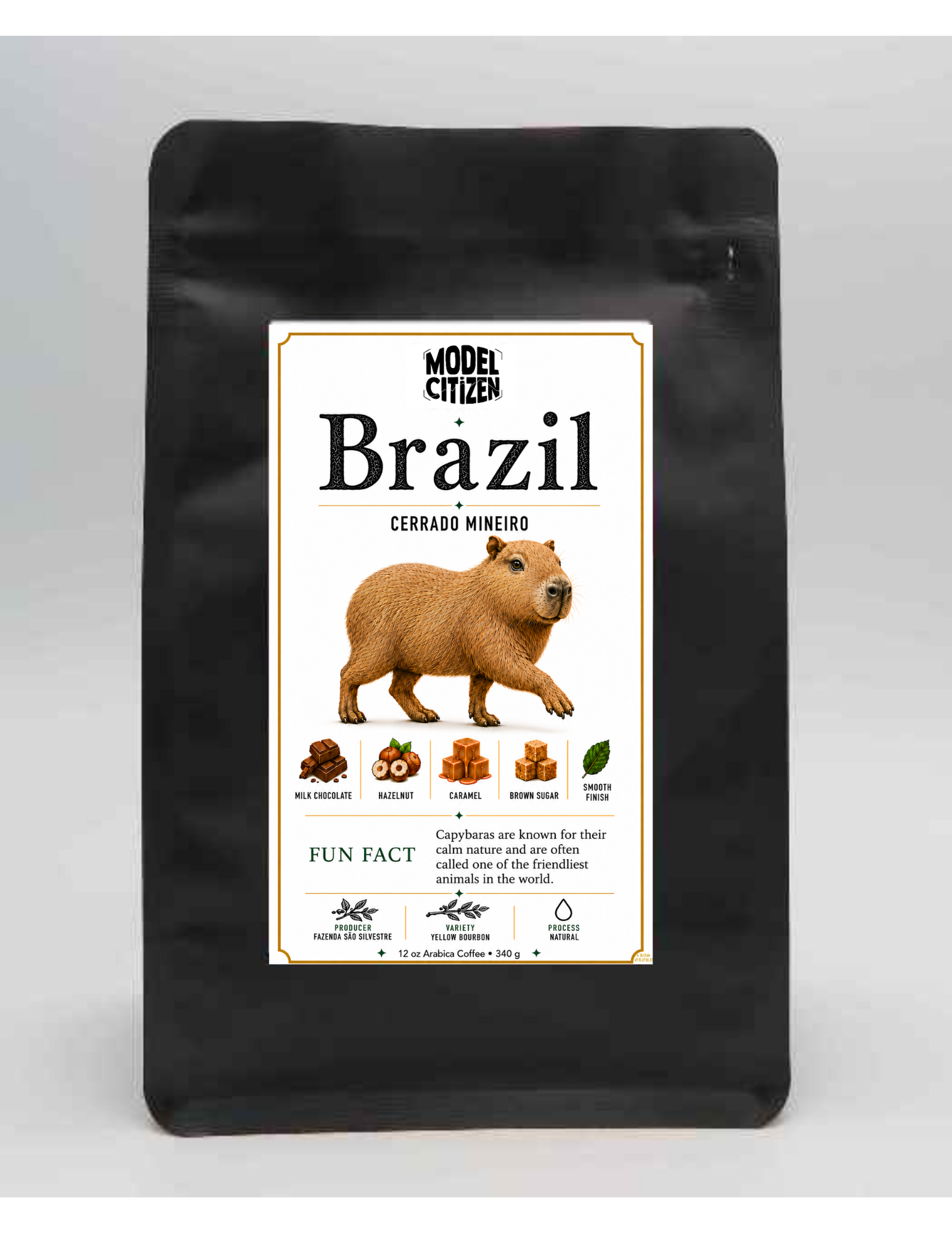 Brazil - Sul de Minas (12oz bag)