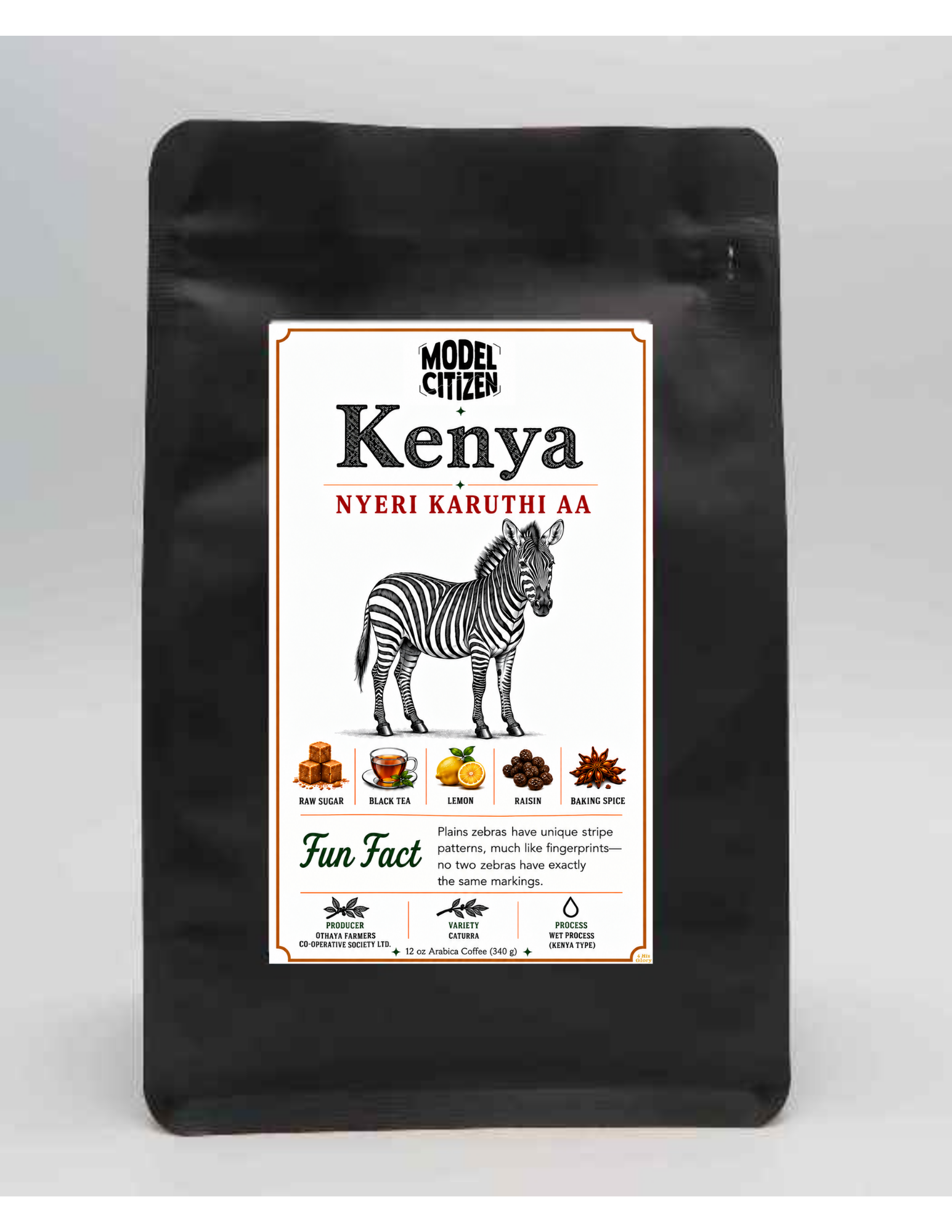 Kenya - Nyeri (12oz Bag)