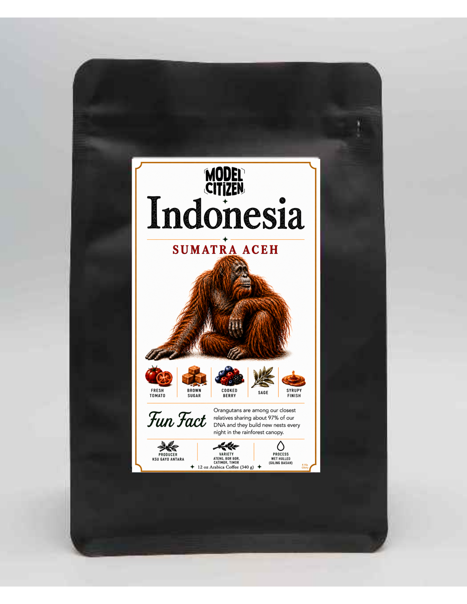 Indonesia, Sumatra Aceh (12 oz bag)