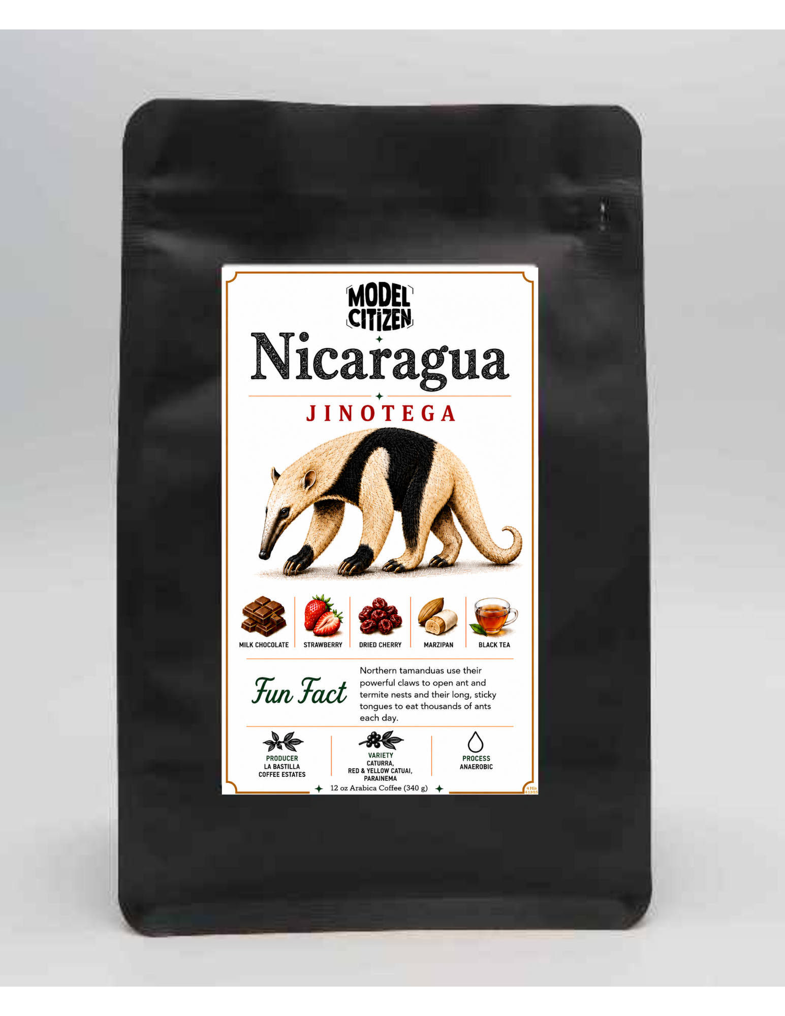 Nicaragua, La Bastilla Anaerobic  (12oz bag)