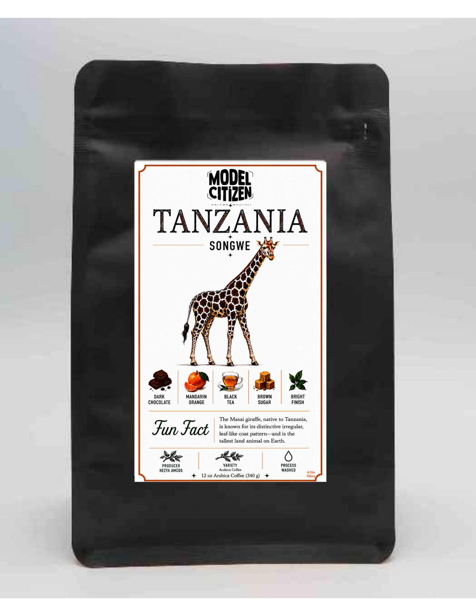 Tanzania Peaberry (12 oz bag)