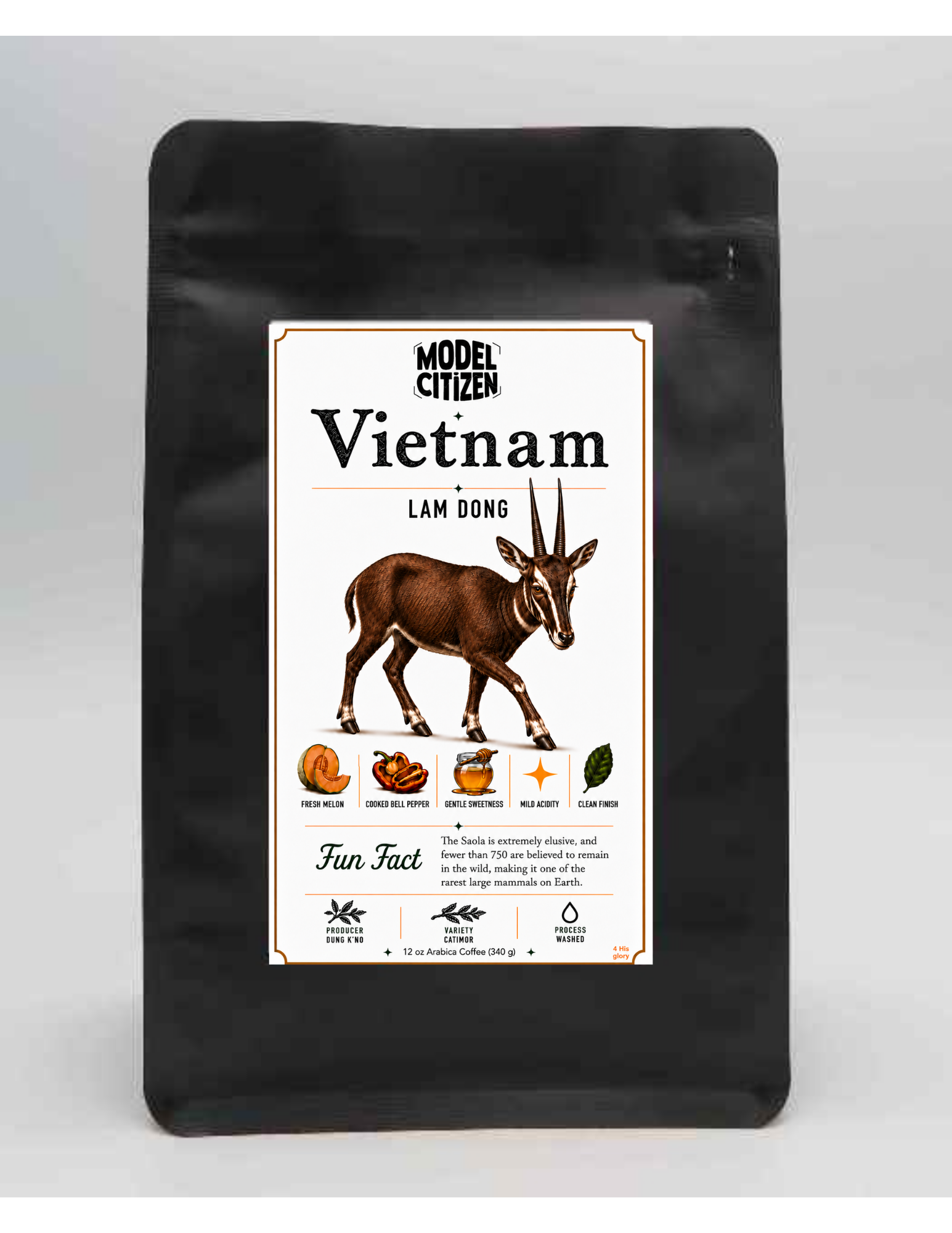 Vietnam, Lam Dong (12 oz bag)